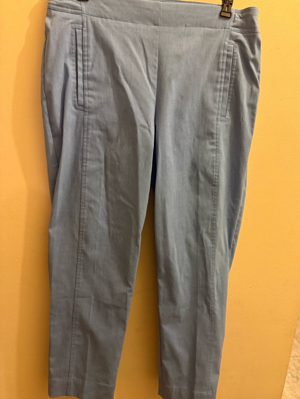 Women's Cropped Straight-Leg Pants in Light Blue